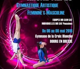Grenoble Gym : Deux sections GAF engagées lors des Régionaux